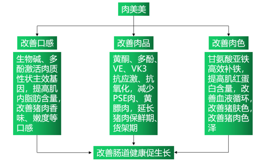 6115c7b74bfbd 6115c7b74bfbd