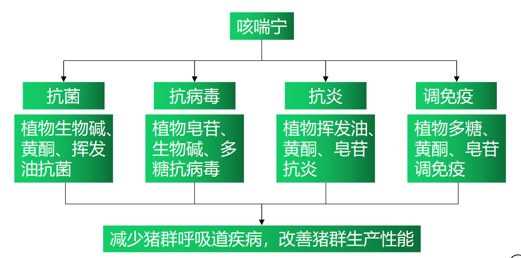 6115cdf41163c 6115cdf41163c