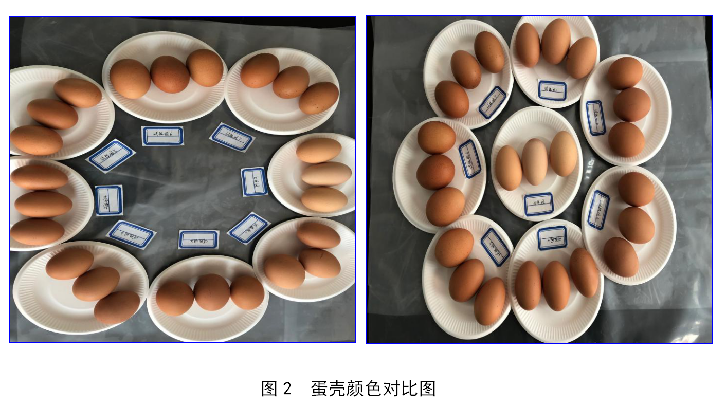 PG国际-创造和传布娱乐领域的美好履历游戏平台