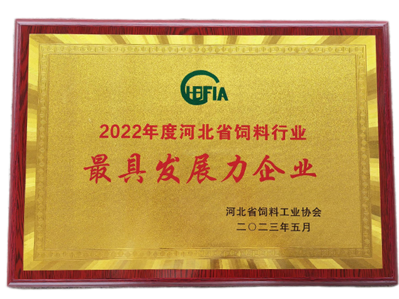 PG国际-创造和传布娱乐领域的美好履历游戏平台