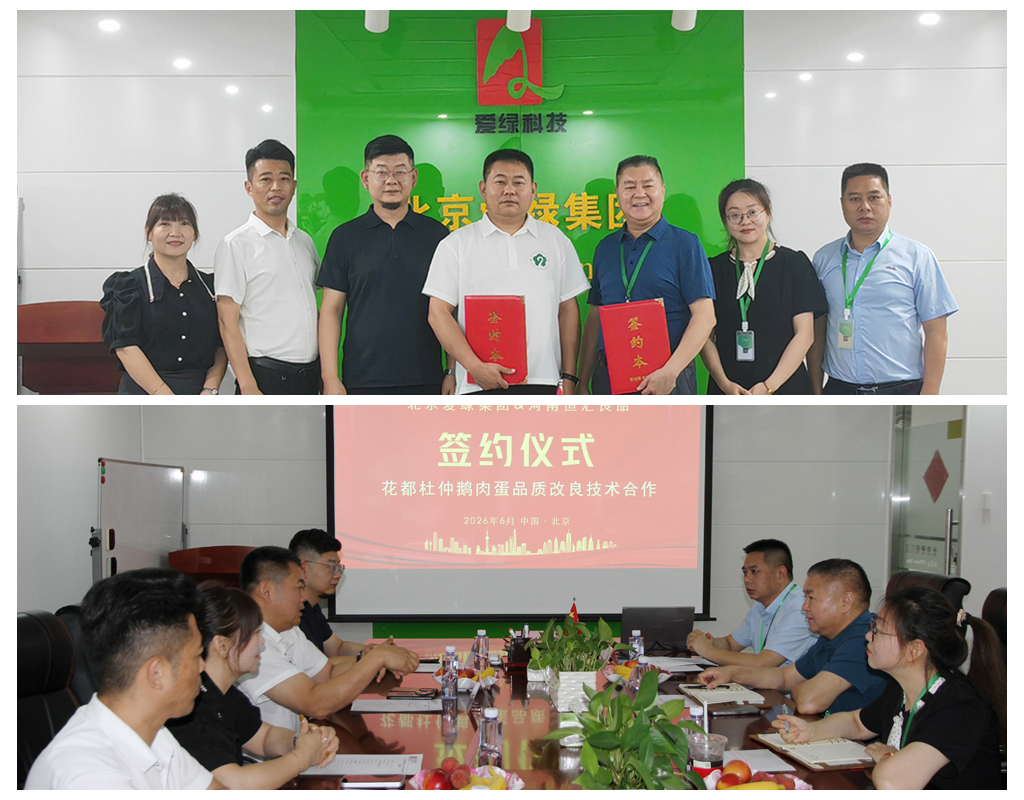 PG国际-创造和传布娱乐领域的美好履历游戏平台